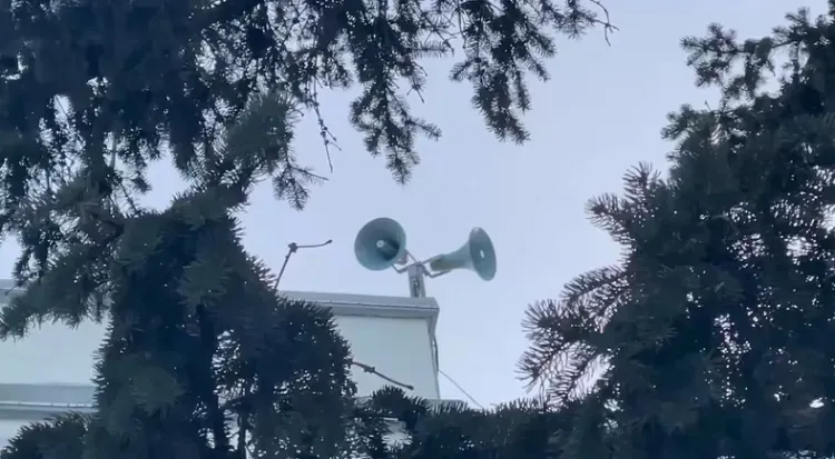 Коршун будет пугать ворон в центре Белогорска