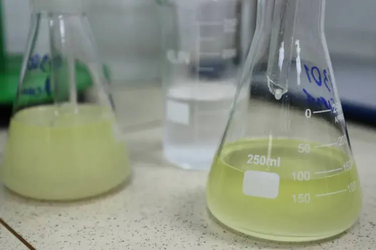 Суррогат сгущенки нашли в детском саду Амурской области