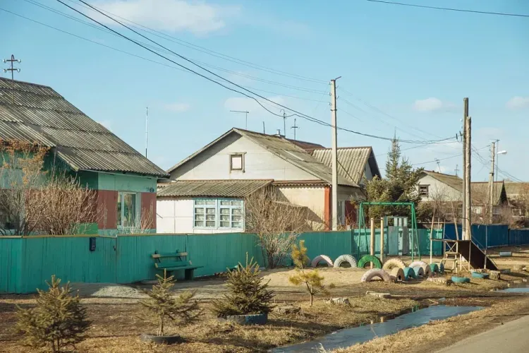 Самыми активными пользователями интернета в сельской местности стали жители Солнечного, Новосергеевки и Ушаково