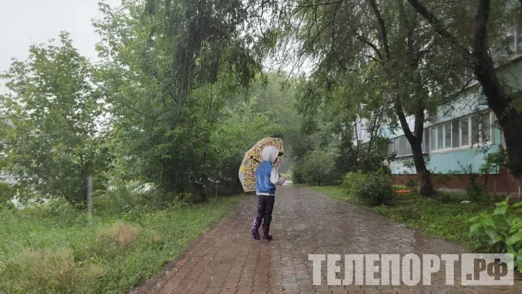 В Амурской области местами прольется дождь