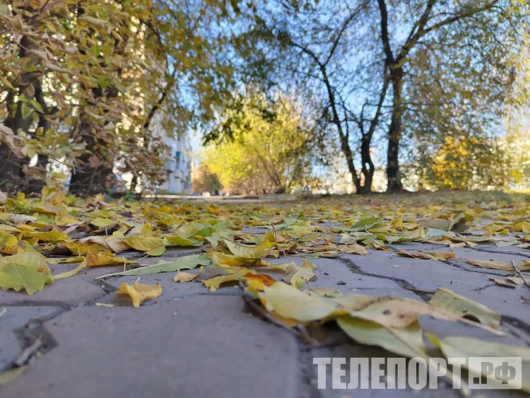 Заморозки в течение двух ночей ожидаются в Амурской области