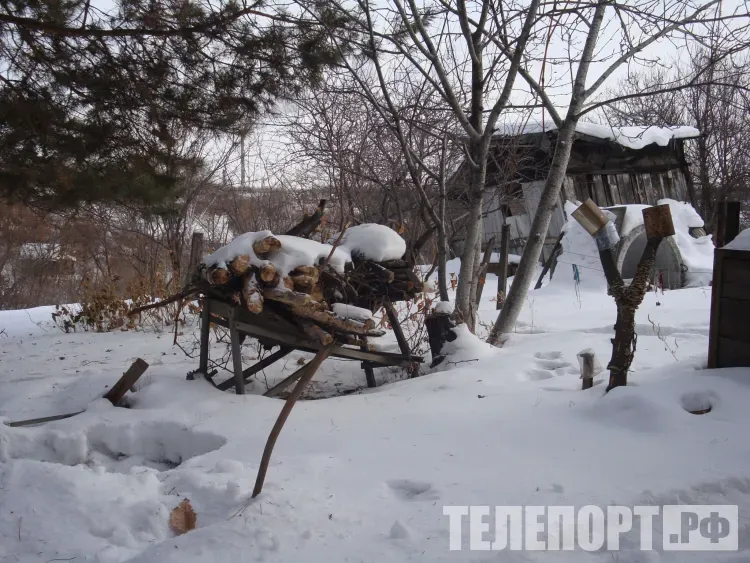 Резкие колебания температуры зимой ожидают россиян