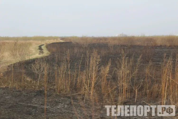 Виновников пожаров находят и штрафуют в Амурской области