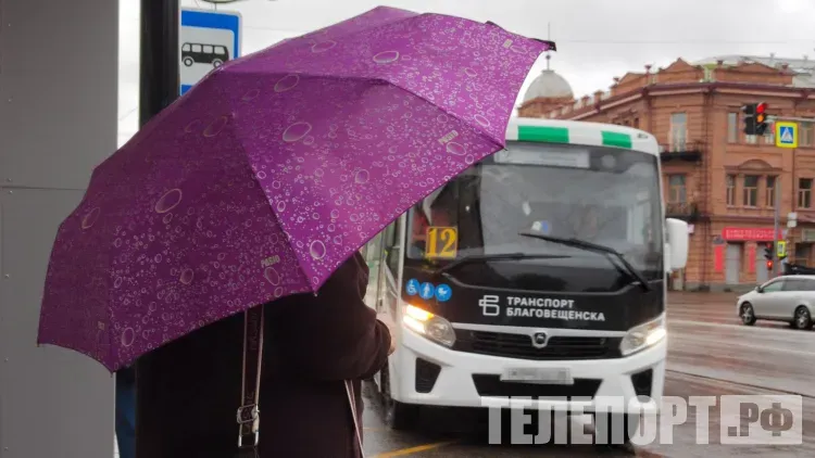 Схемы движения автобусов временно изменят в Благовещенске