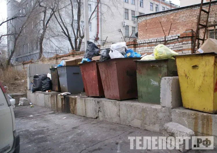 Крупный штраф грозит регоператору за свалки в Зее