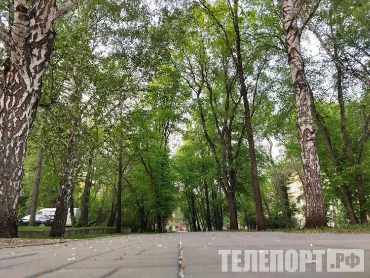 В отдельных районах Амурской области 25 июля кратковременный дождь, гроза