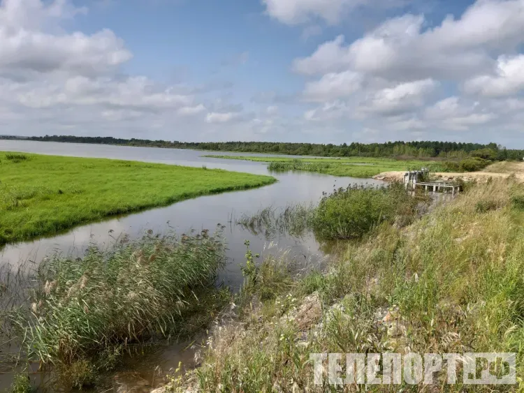 Человечество исчерпало запас возобновляемых ресурсов на 2024 год