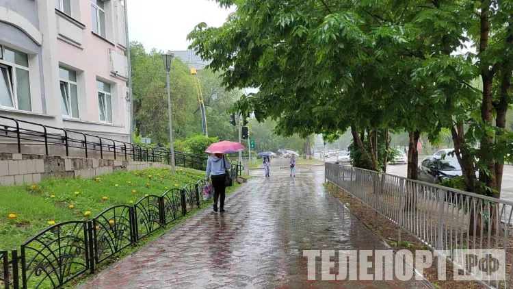 Сильный ливень, дождь и гроза пройдут местами в Амурской области 8 августа