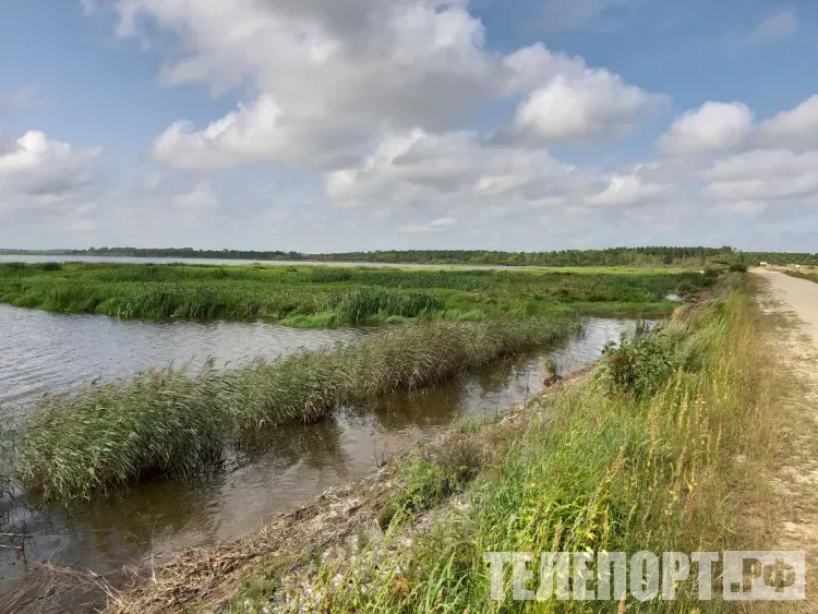 По северу Амурской области 15 августа облачно, кратковременные дожди, грозы, местами ливни