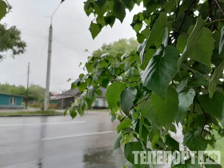 Местами по северо-западным и южным районам Амурской области 21 августа пройдет небольшой дождь