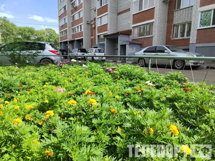 Кратковременный дождь, гроза прогнозируются местами по северу Амурской области 3 сентября