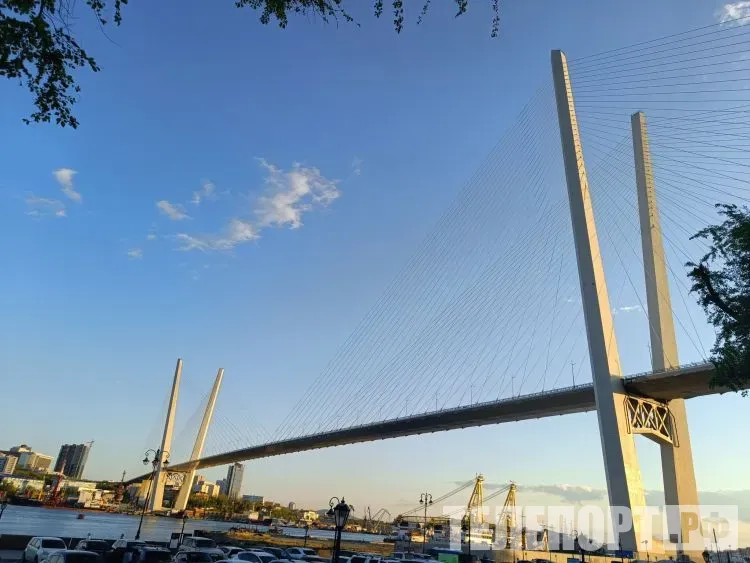 Флешмоб в честь регионов Дальнего Востока пройдет на крупном форуме