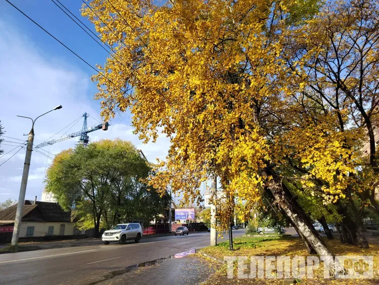 Тепло будет в Амурской области 15 сентября