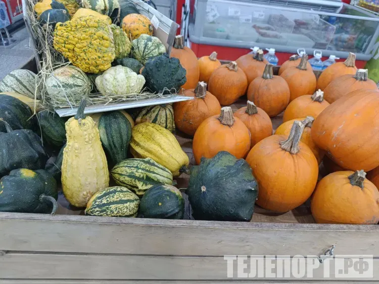 Лучшее блюдо из тыквы выберут на фестивале в Благовещенском округе