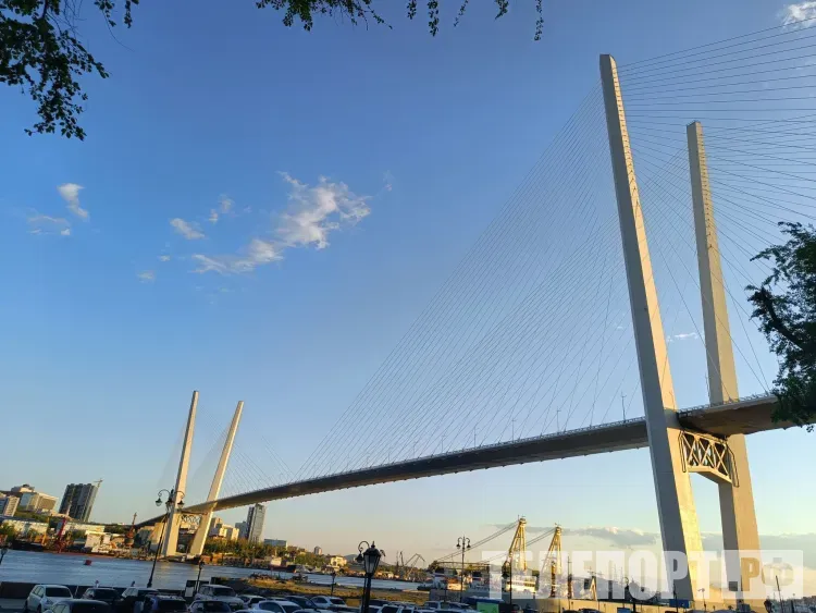 Транзит подержанных японских автомобилей через Владивосток возобновила Корея