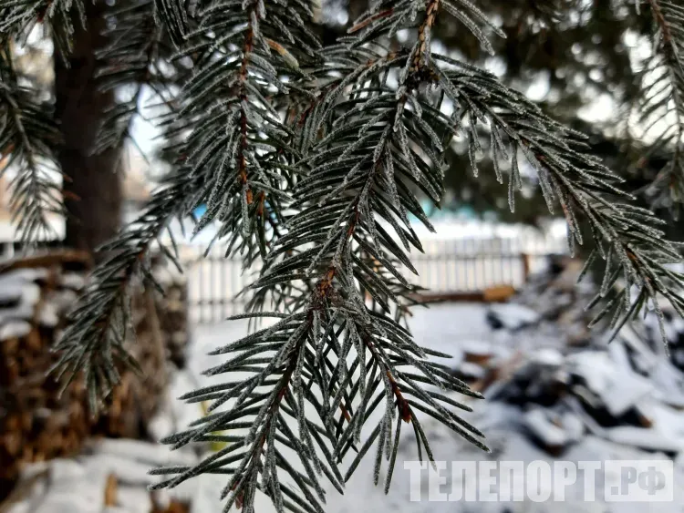 Дождь с мокрым снегом пройдет в Амурской области