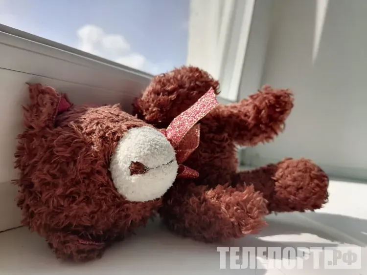 Семьи обрели более 200 амурских детей