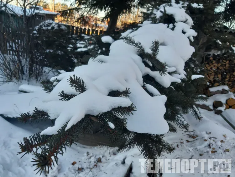Аномально высокая температура ожидается на Дальнем Востоке