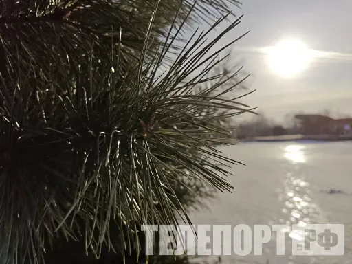 Рост пенсий, запреты мигрантам, наставники трудным подросткам: новые законы с февраля