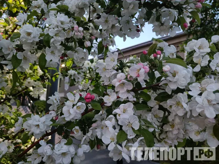 Рабочие недели по три дня ждут россиян из-за майских праздников