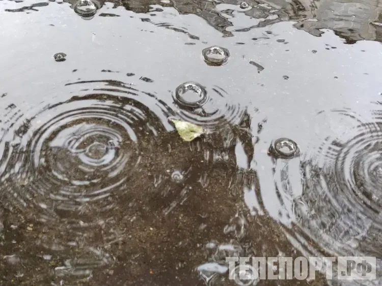 Дождь и мокрый снег пройдут местами в Амурской области